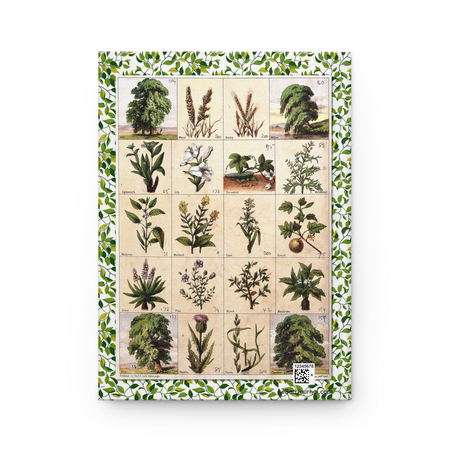 Back cover Thomas C. Jack 1850 chromolithograph twenty biblical plants Wheat Barley Willow Spikenard Lily Mustard Flax Myrrh Mandrake Aloes Wormwood Thistle McFarlane Erskine Edinburgh - LeBonJournal