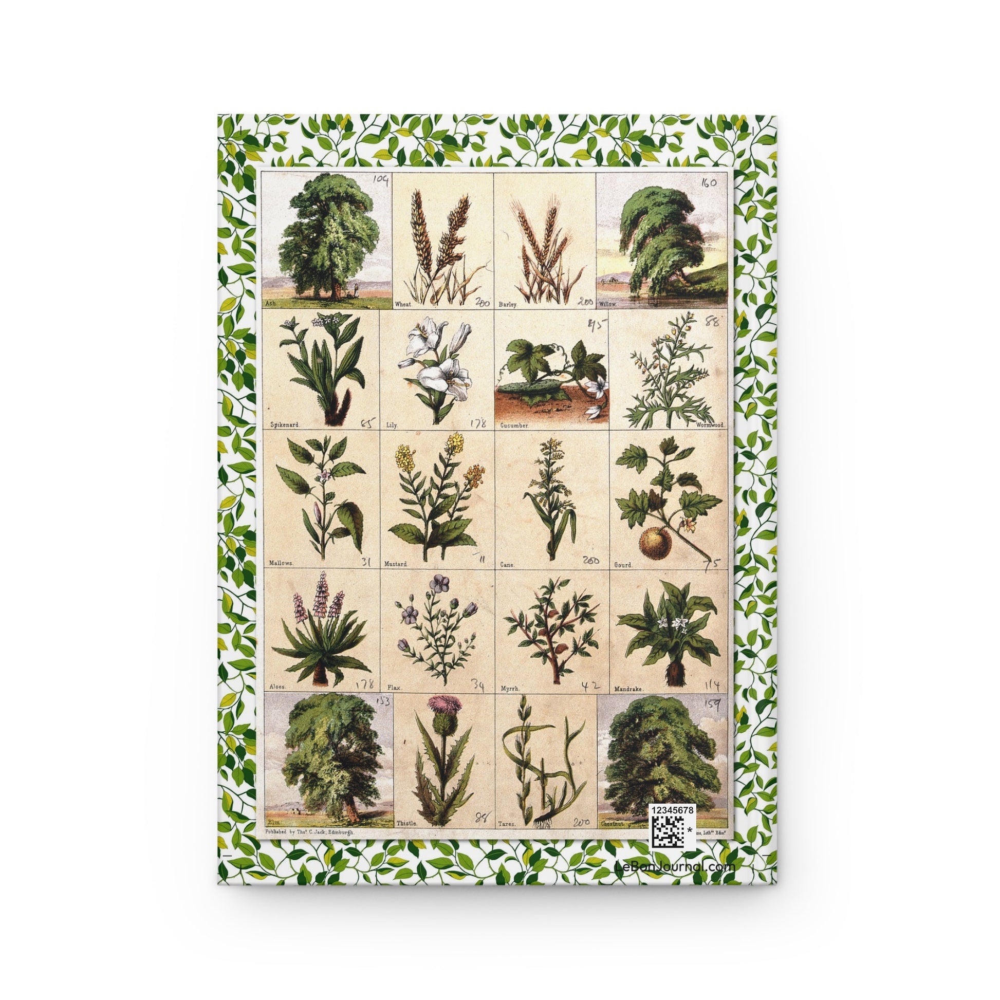 Back cover Thomas C. Jack 1850 chromolithograph twenty biblical plants Wheat Barley Willow Spikenard Lily Mustard Flax Myrrh Mandrake Aloes Wormwood Thistle McFarlane Erskine Edinburgh - LeBonJournal
