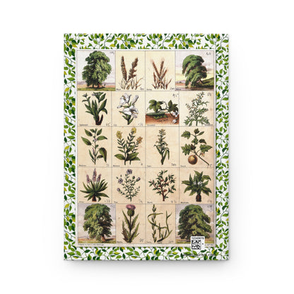 Back cover Thomas C. Jack 1850 chromolithograph twenty biblical plants Wheat Barley Willow Spikenard Lily Mustard Flax Myrrh Mandrake Aloes Wormwood Thistle McFarlane Erskine Edinburgh - LeBonJournal