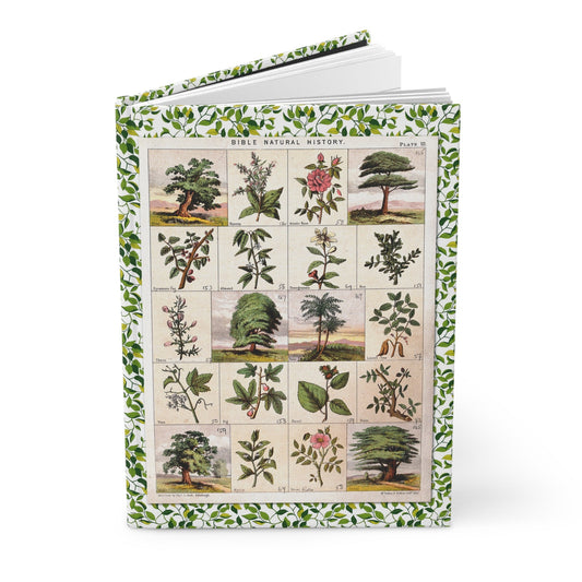 Biblical botany hardcover journal featuring Thomas C. Jack 1850 chromolithograph Plate III twenty trees herbs shrubs Bible Natural History McFarlane Erskine Edinburgh with Cedar Olive Pomegranate Vine Palm - LeBonJournal