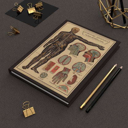 Brain anatomy 1908 medical education journal on desk with gold clips for study notes - LeBonJournal