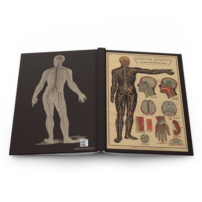 Brain and nervous system anatomy journal open showing casewrap binding with 1908 illustrations - LeBonJournal