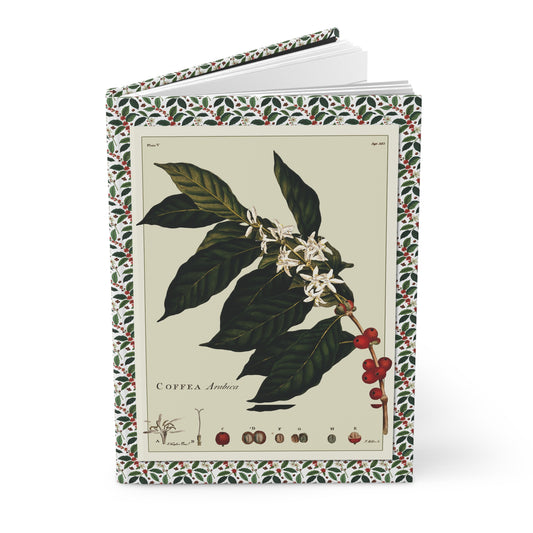 Coffee plant botanical journal with 1774 and 1840 historical coffee illustrations - LeBonJournal