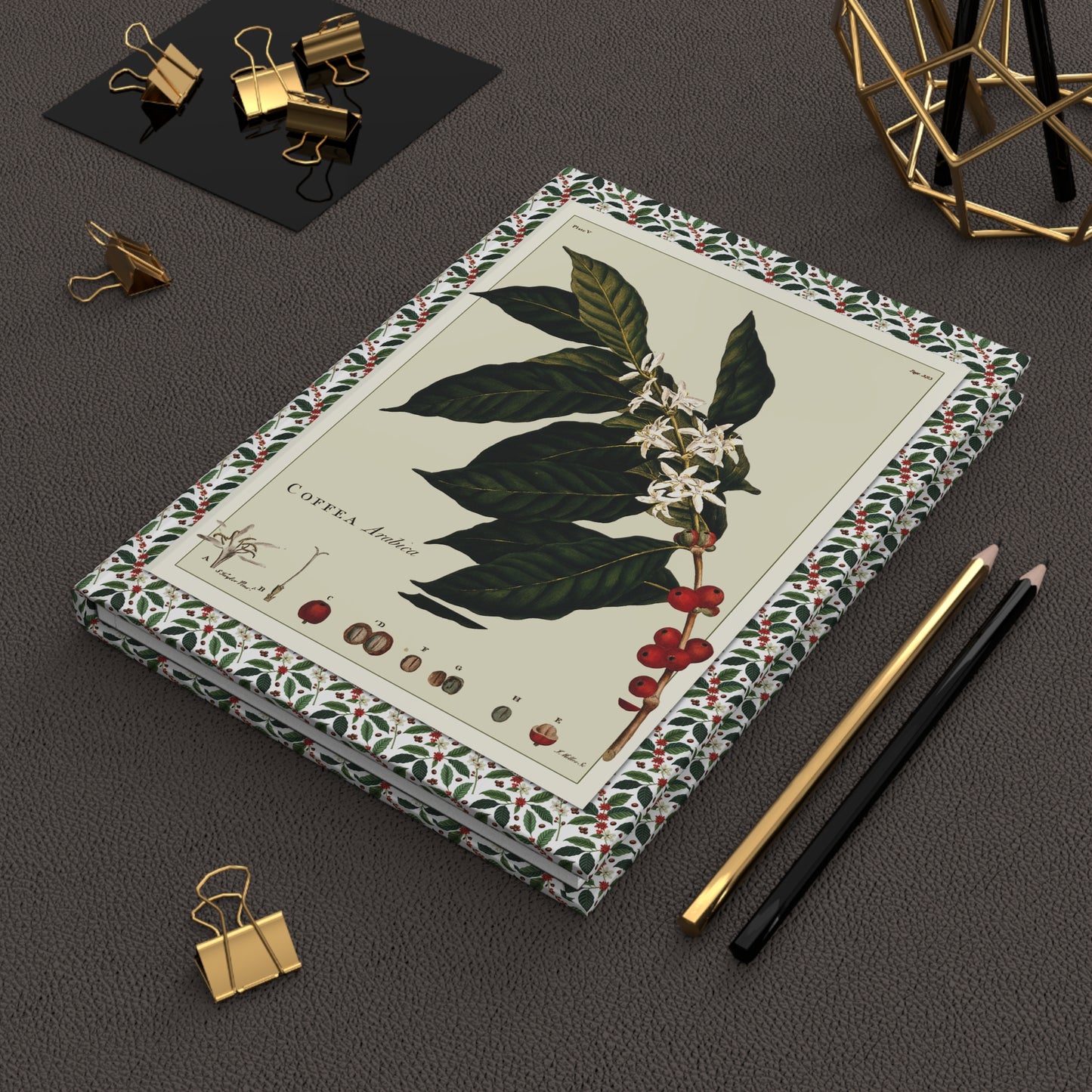Coffee plant 1774 1840 botanical journal on desk with gold clips for coffee notes - LeBonJournal
