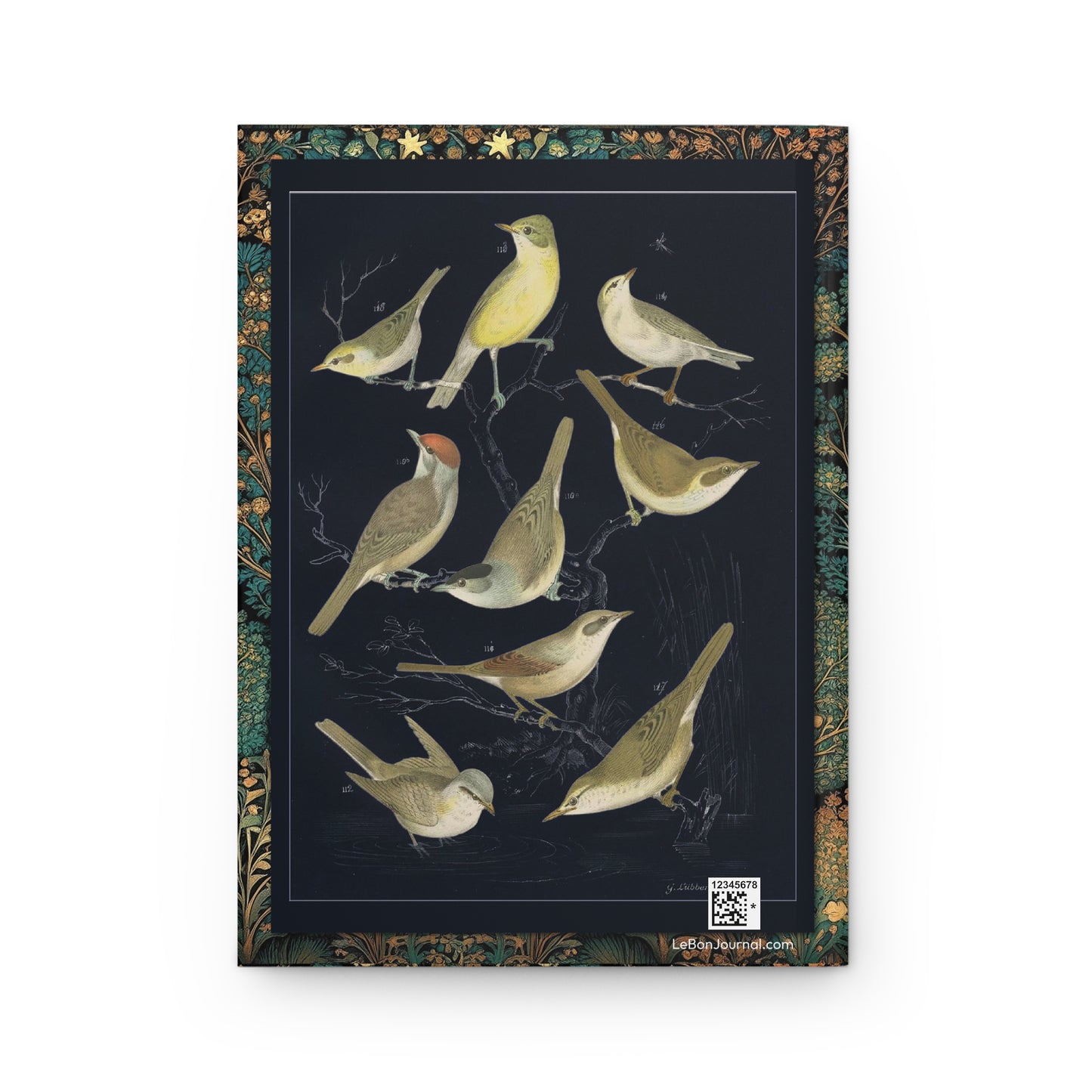 Back cover contemporary black background 1886 De Vogelwereld J. Lubbert European warblers chiffchaff garden warbler marsh warbler lithograph - LeBonJournal