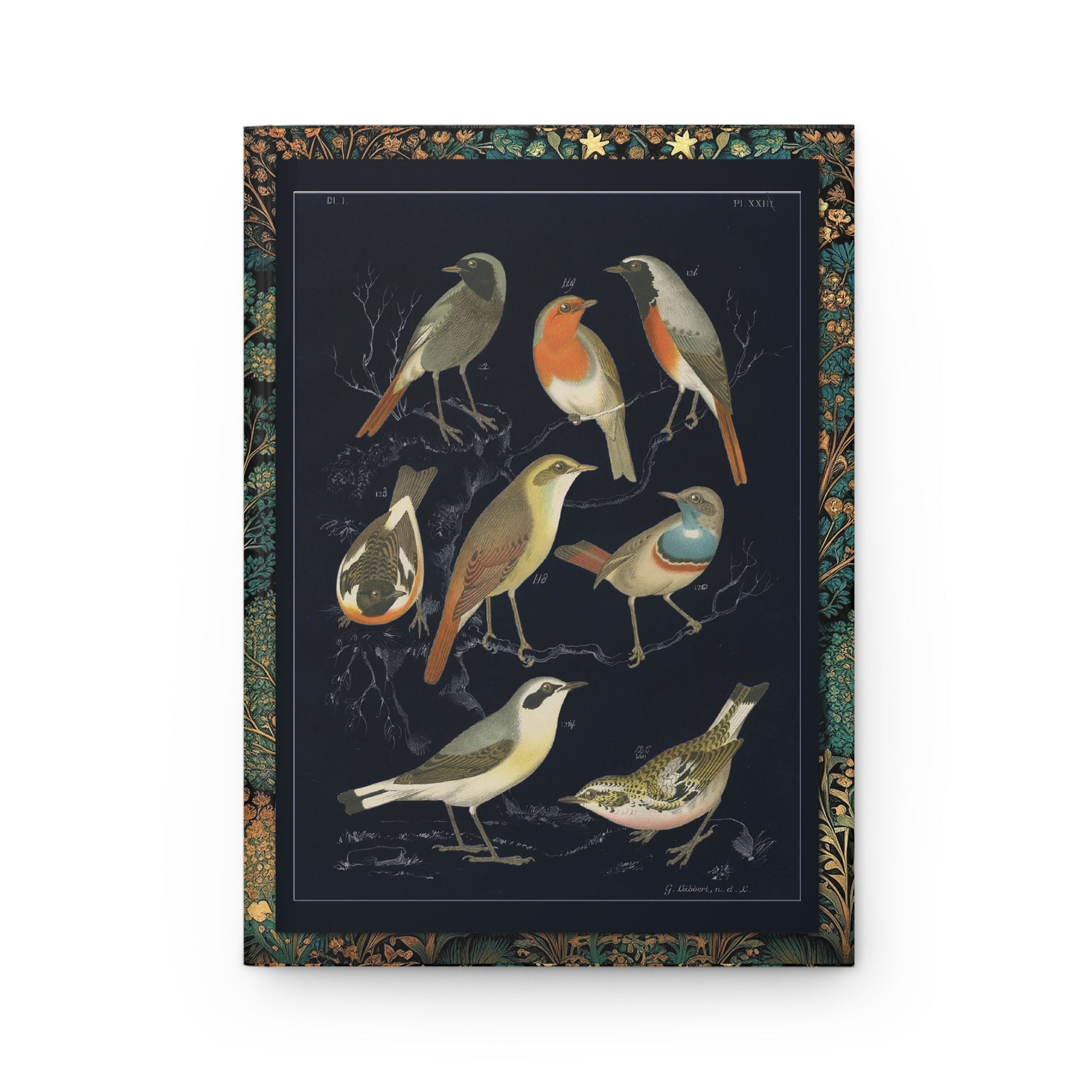 Front cover close-up contemporary black background 1886 De Vogelwereld G. Lübbert European robin bluethroat stonechat northern wheatear redstart lithograph - LeBonJournal