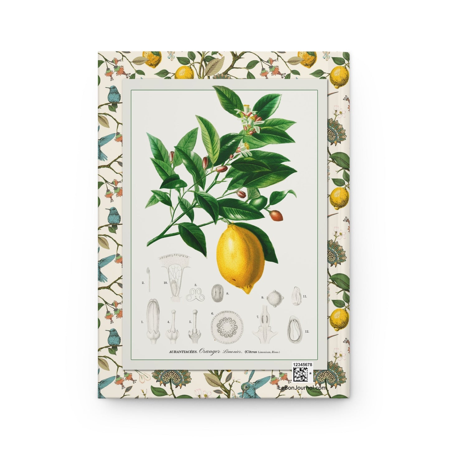Lemon journal back cover with d'Orbigny Citrus Limonium illustration from 1841 - LeBonJournal