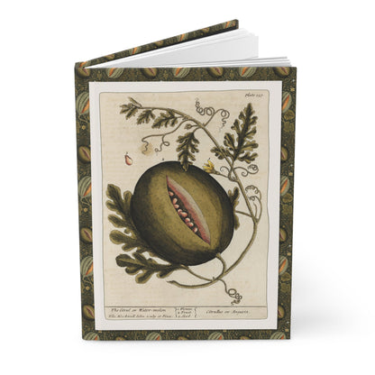 Elizabeth Blackwell 1739 melon journal with Curious Herbal watermelon botanical illustrations - LeBonJournal
