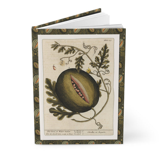 Elizabeth Blackwell 1739 melon journal with Curious Herbal watermelon botanical illustrations - LeBonJournal
