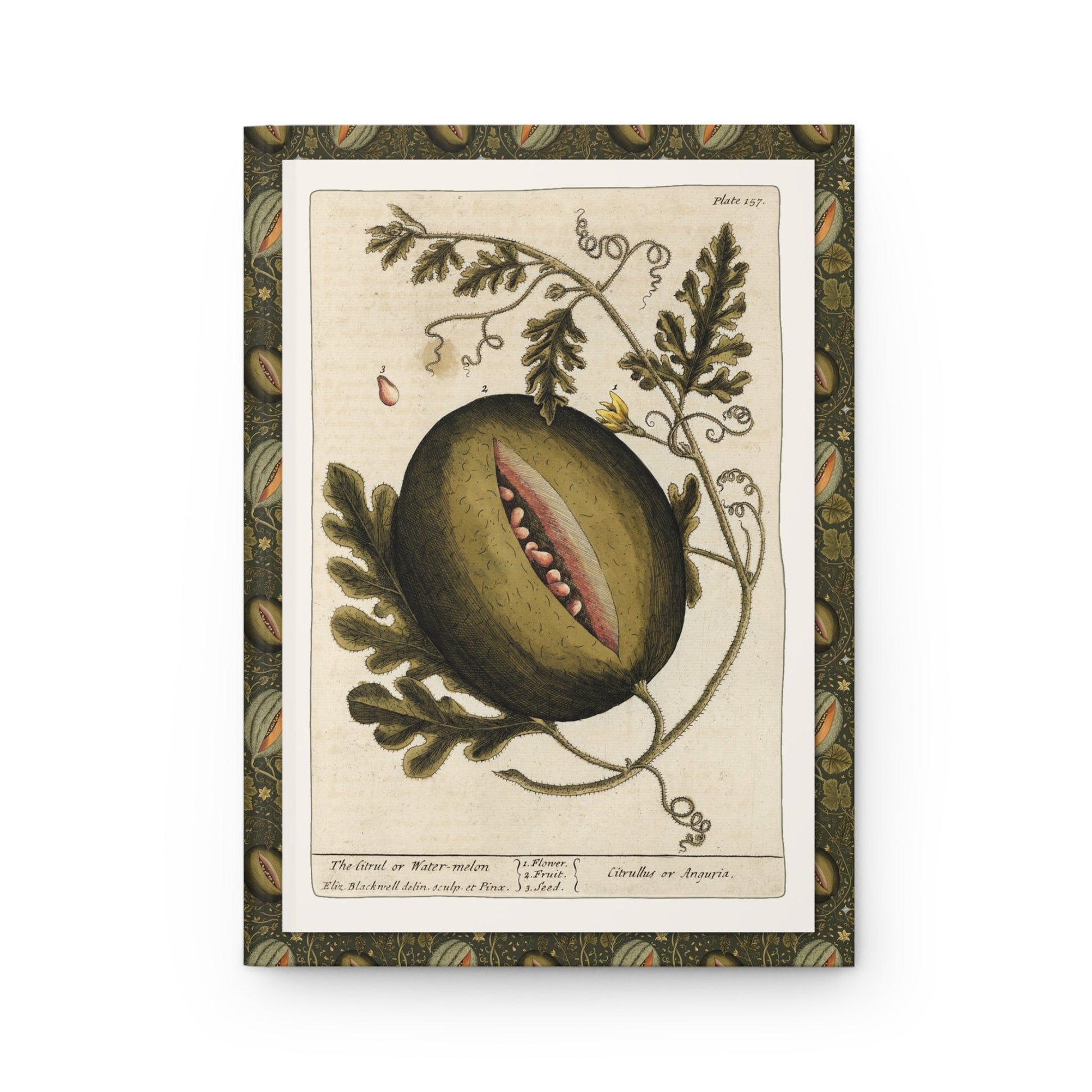 Elizabeth Blackwell journal front cover with 1739 citrul watermelon illustration from Curious Herbal - LeBonJournal
