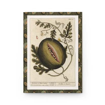 Elizabeth Blackwell journal front cover with 1739 citrul watermelon illustration from Curious Herbal - LeBonJournal
