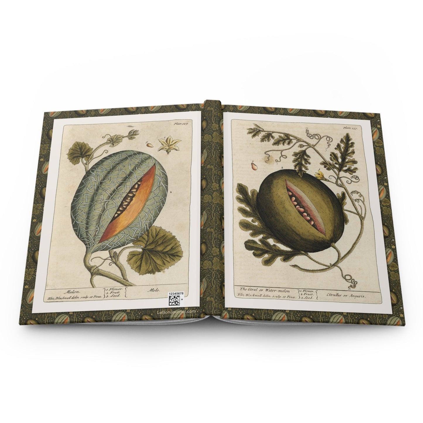 Elizabeth Blackwell botanical journal open showing casewrap binding with 1739 melon illustrations - LeBonJournal
