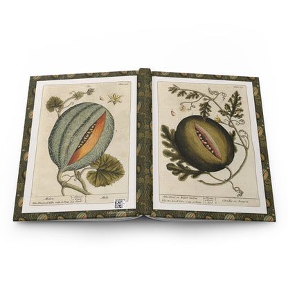 Elizabeth Blackwell botanical journal open showing casewrap binding with 1739 melon illustrations - LeBonJournal
