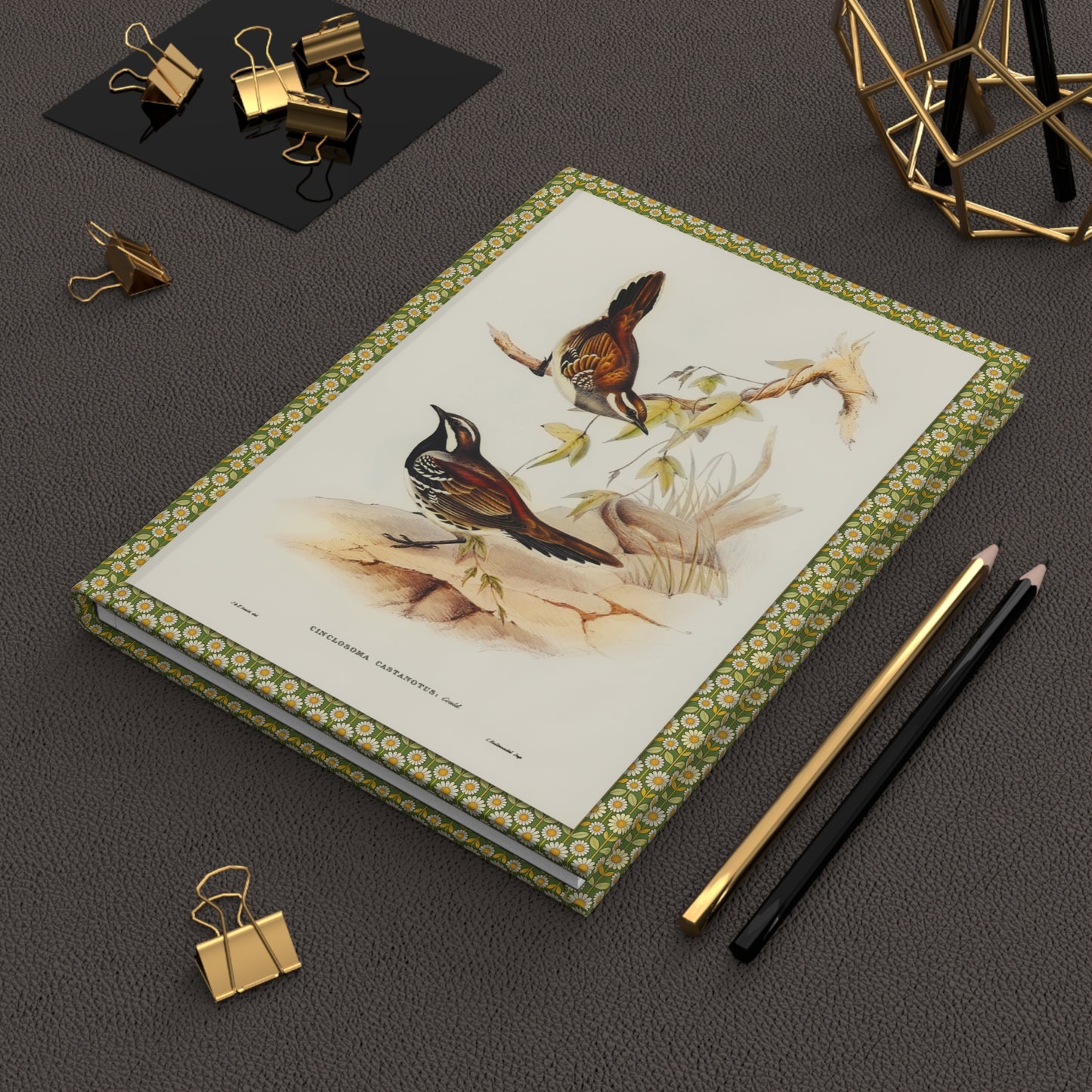 Lifestyle photo of Elizabeth Gould Australian birds journal styled for ornithologists birdwatchers and natural history collectors - LeBonJournal