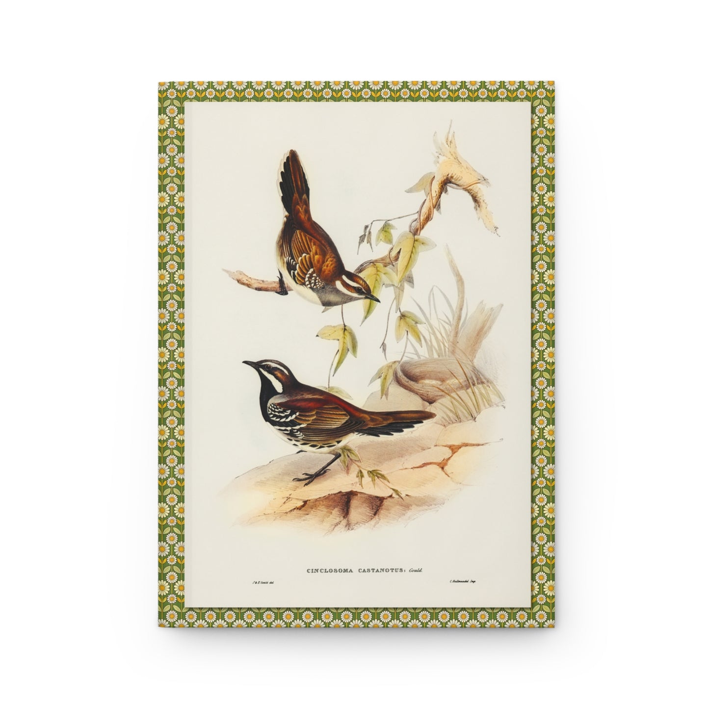 Front cover of hardcover journal featuring Elizabeth Gould Chestnut Quail-thrush Cinclosoma castanotum male and female from Birds of Australia 1848 - LeBonJournal