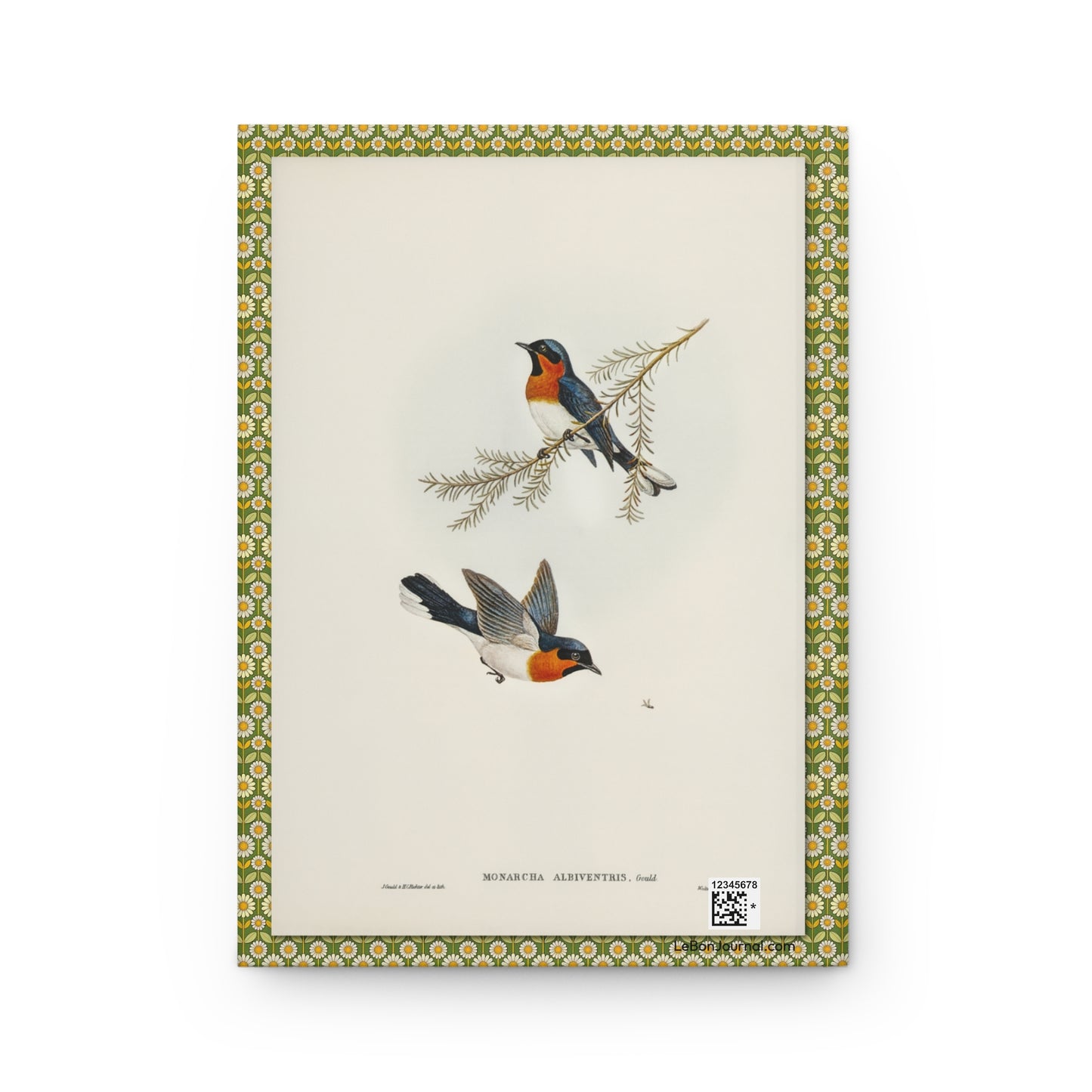 Back cover of hardcover journal featuring Elizabeth Gould White-bellied Flycatcher Monarcha albiventris perched and in flight from Birds of Australia - LeBonJournal