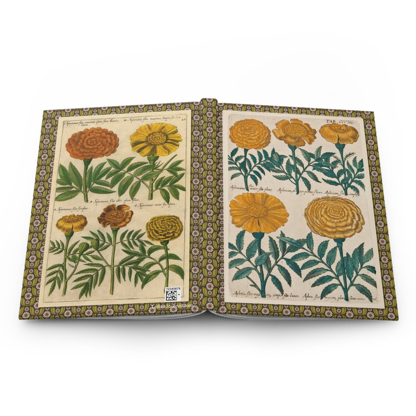 Emanuel Sweert marigold journal open showing casewrap binding with 1612 florilegium engravings - LeBonJournal