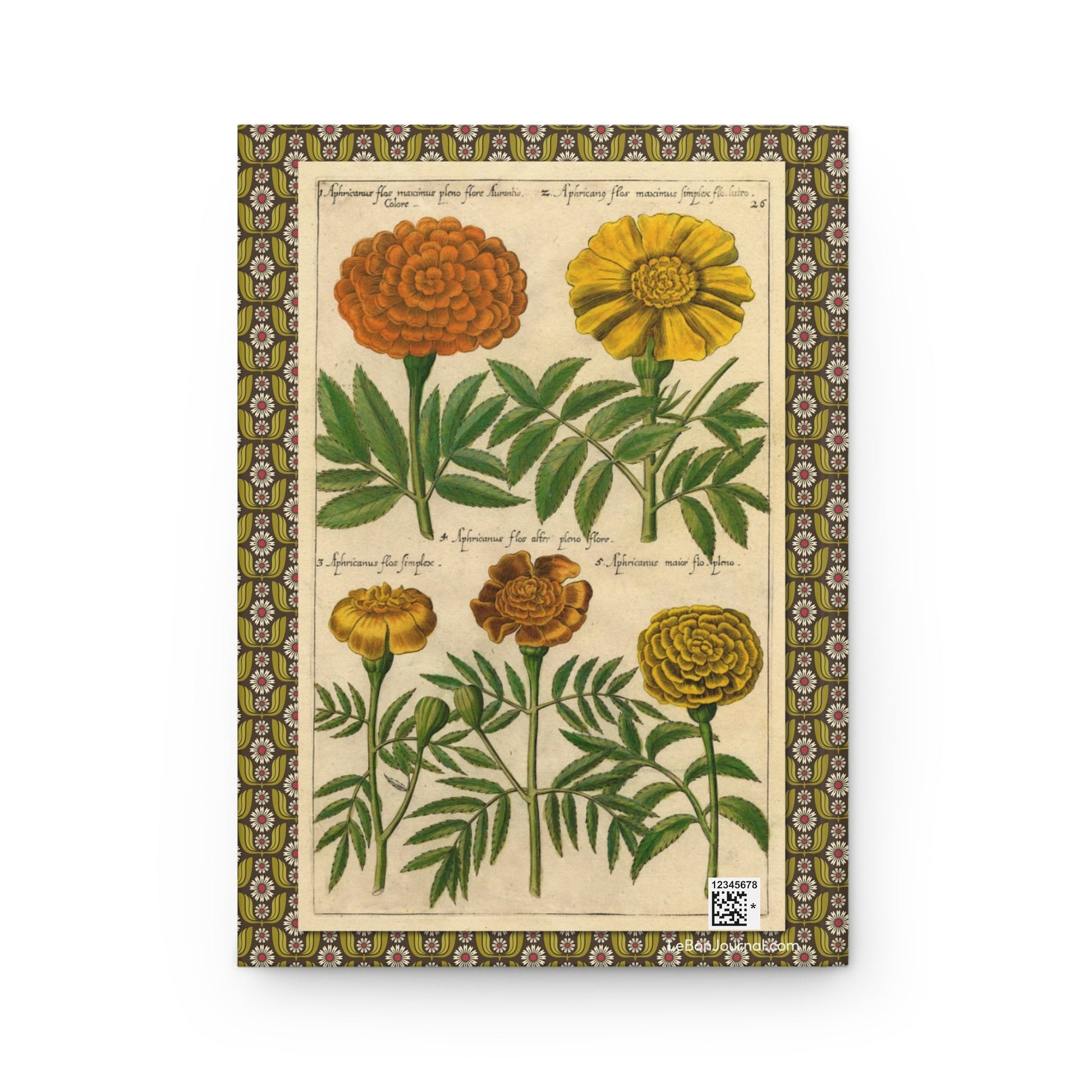 Emanuel Sweert journal back cover with 1612 African marigold varieties engravings - LeBonJournal