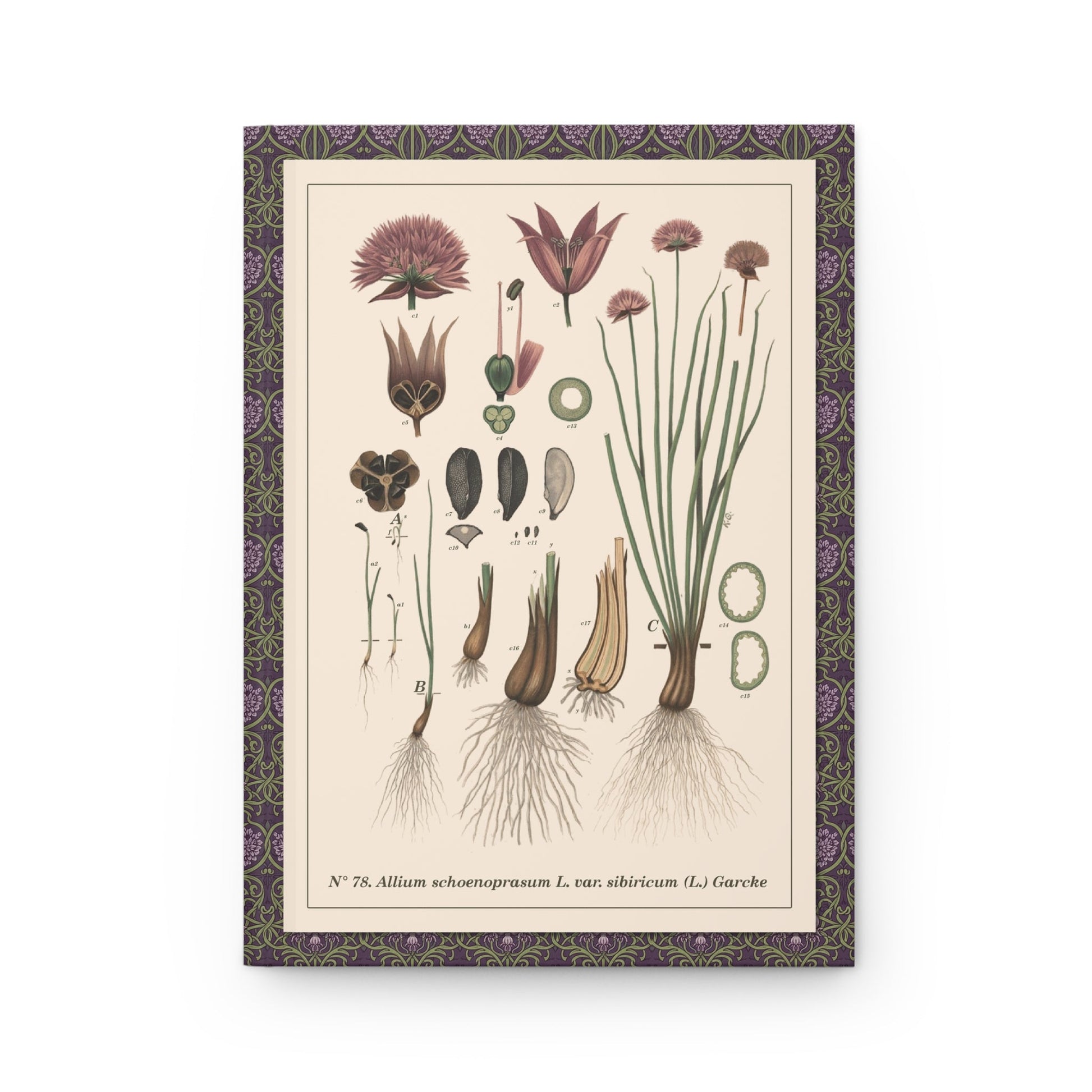 Emil Korsmo journal front cover with 1913 Allium schoenoprasum Siberian chives plate 78 - LeBonJournal