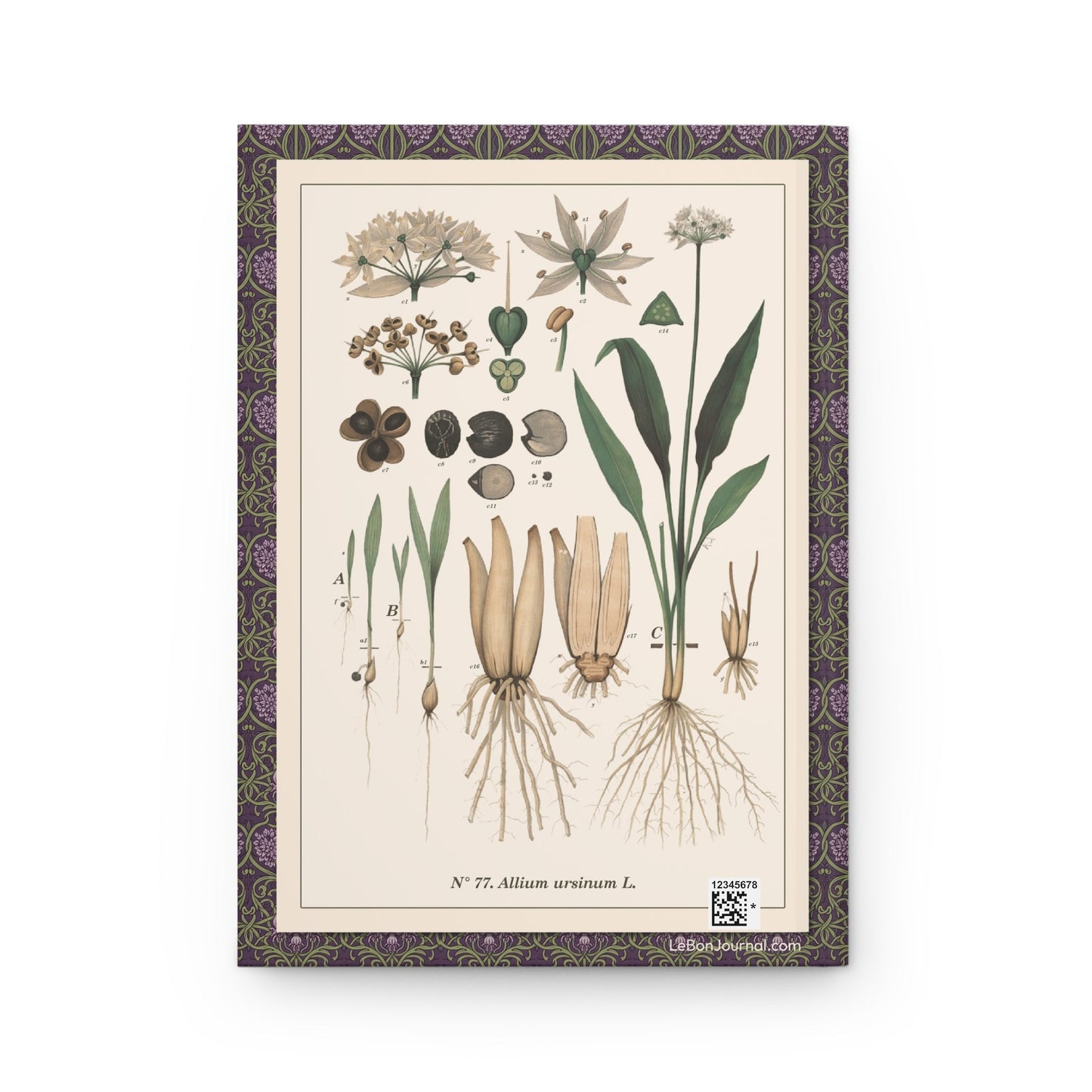 Emil Korsmo journal back cover with 1913 Allium ursinum wild garlic botanical chart - LeBonJournal