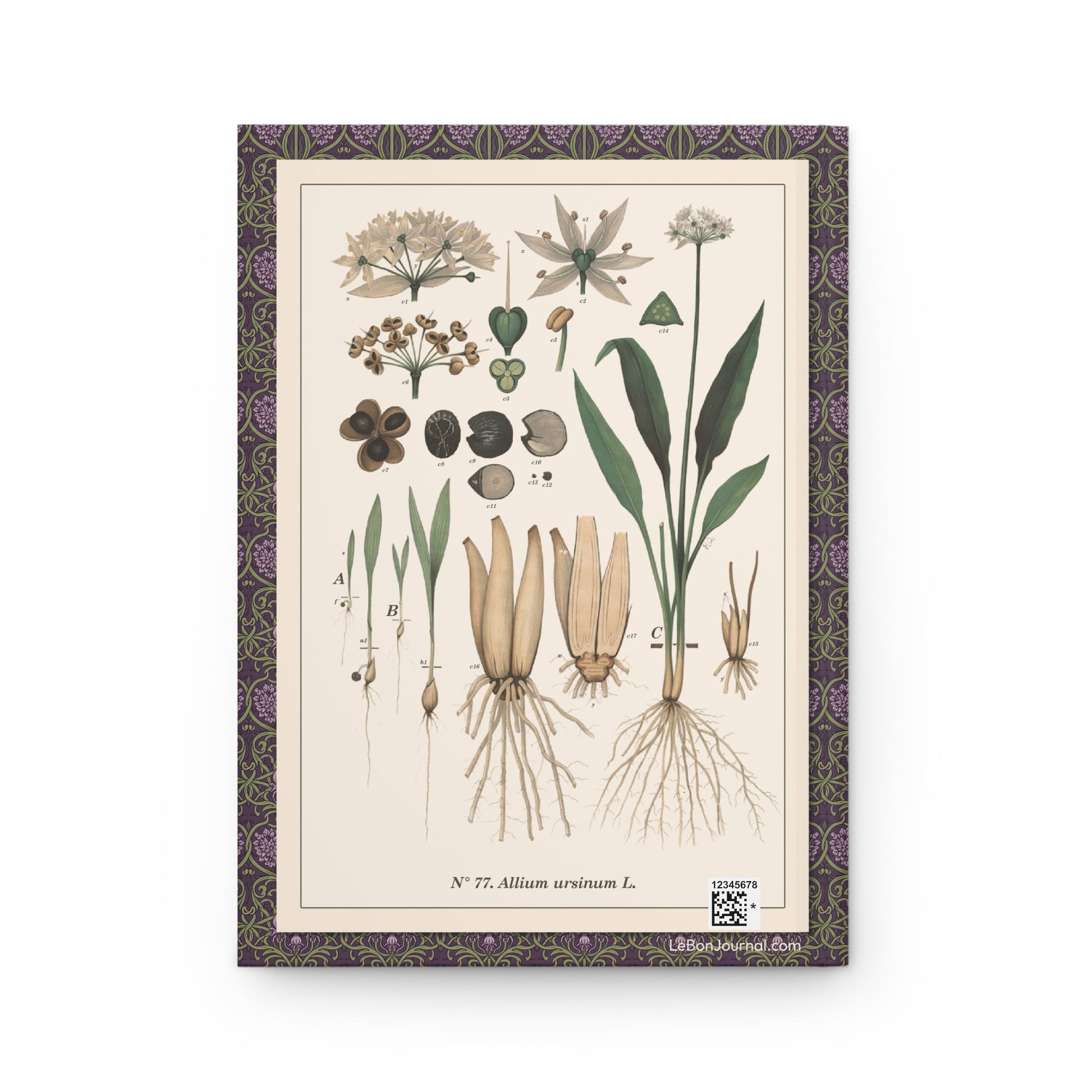 Emil Korsmo journal back cover with 1913 Allium ursinum wild garlic botanical chart - LeBonJournal