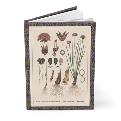 Emil Korsmo 1913 Allium charts journal with Norwegian weed identification botanical illustrations - LeBonJournal
