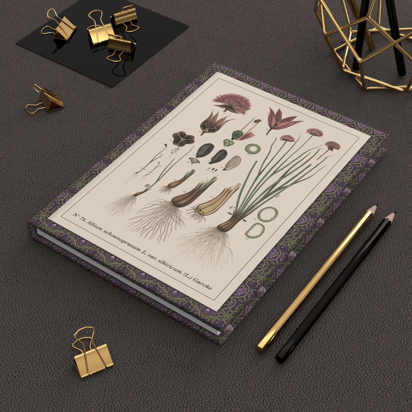 Emil Korsmo 1913 Allium charts journal on desk with gold clips for botanical notes - LeBonJournal