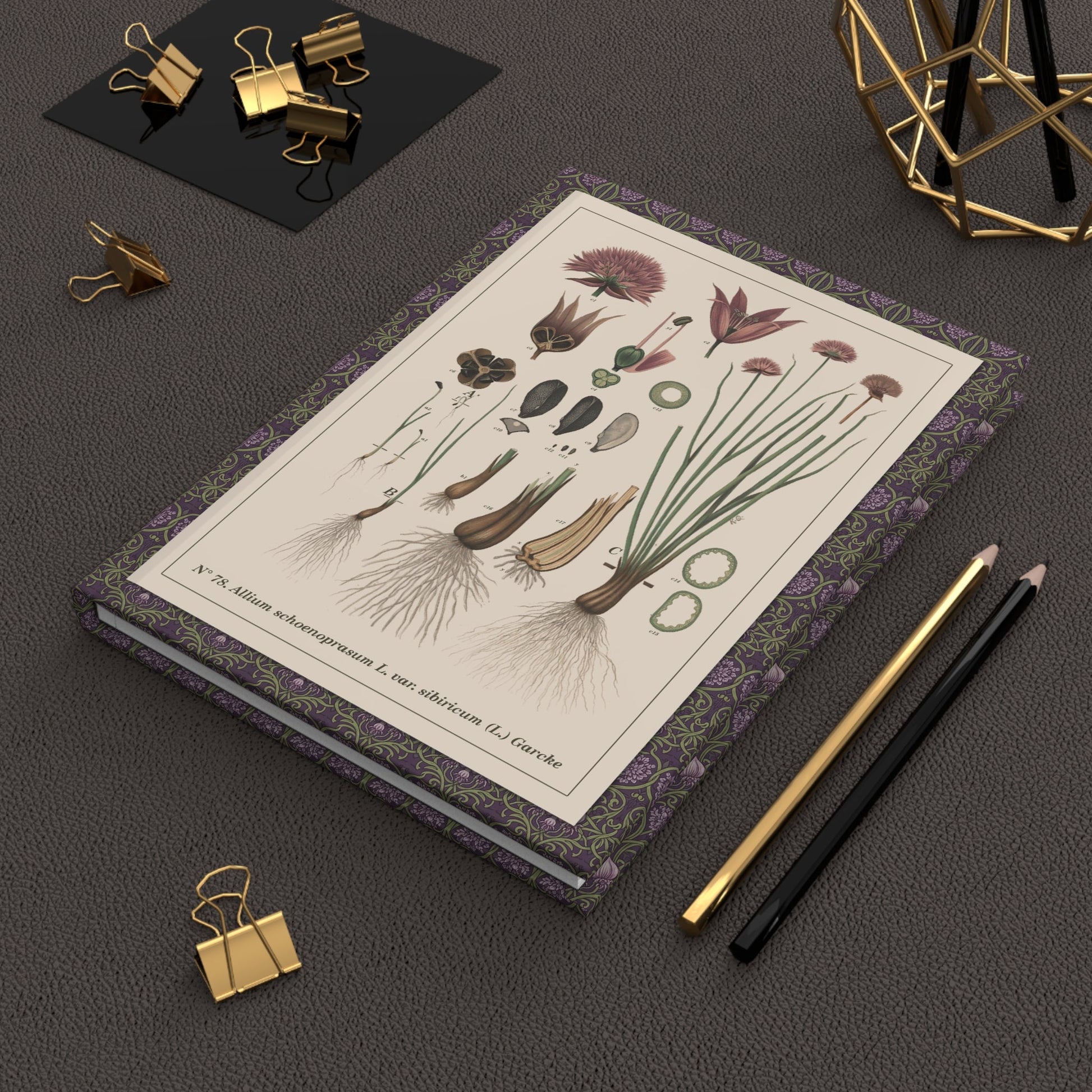Emil Korsmo 1913 Allium charts journal on desk with gold clips for botanical notes - LeBonJournal