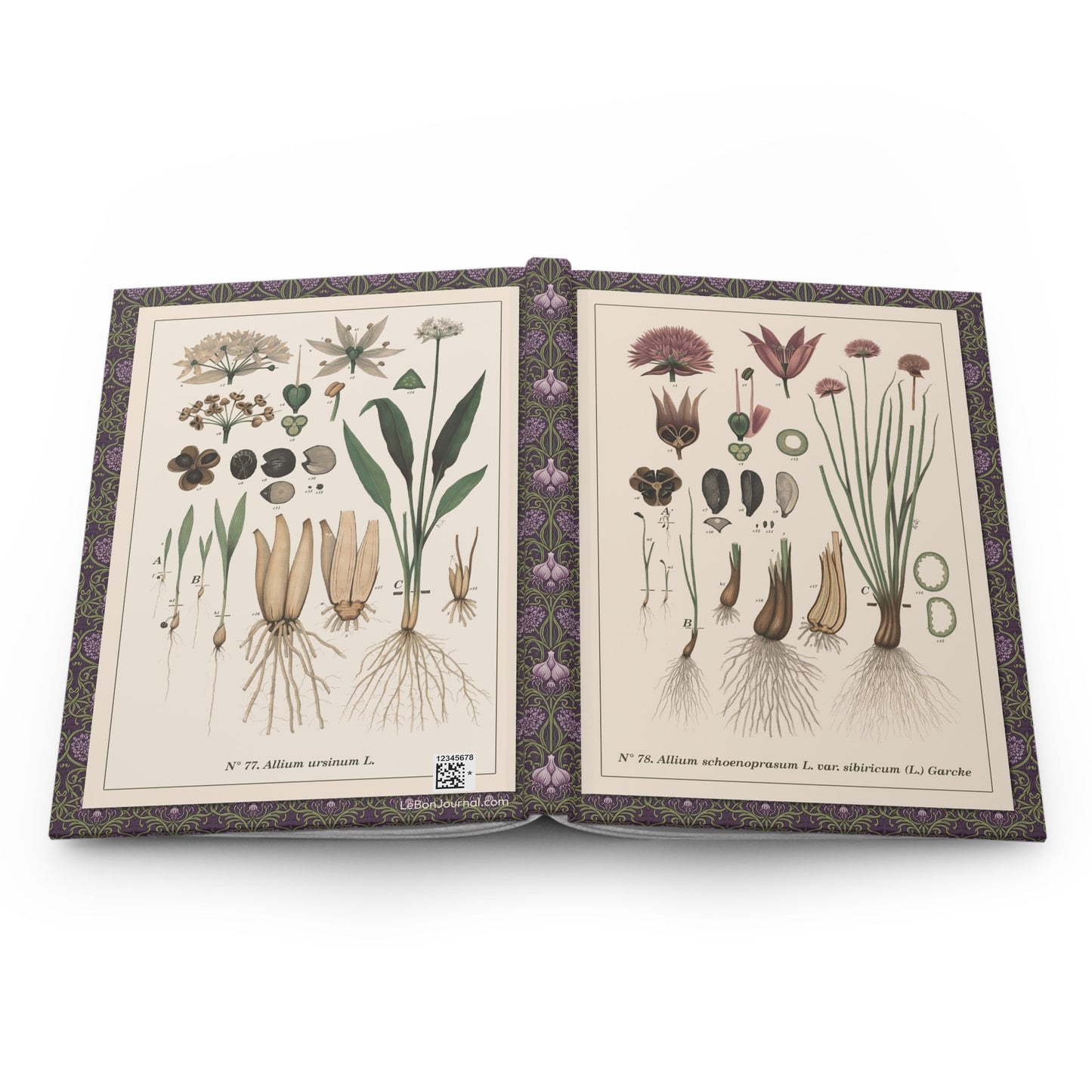Emil Korsmo Allium charts journal open showing casewrap binding with botanical illustrations - LeBonJournal