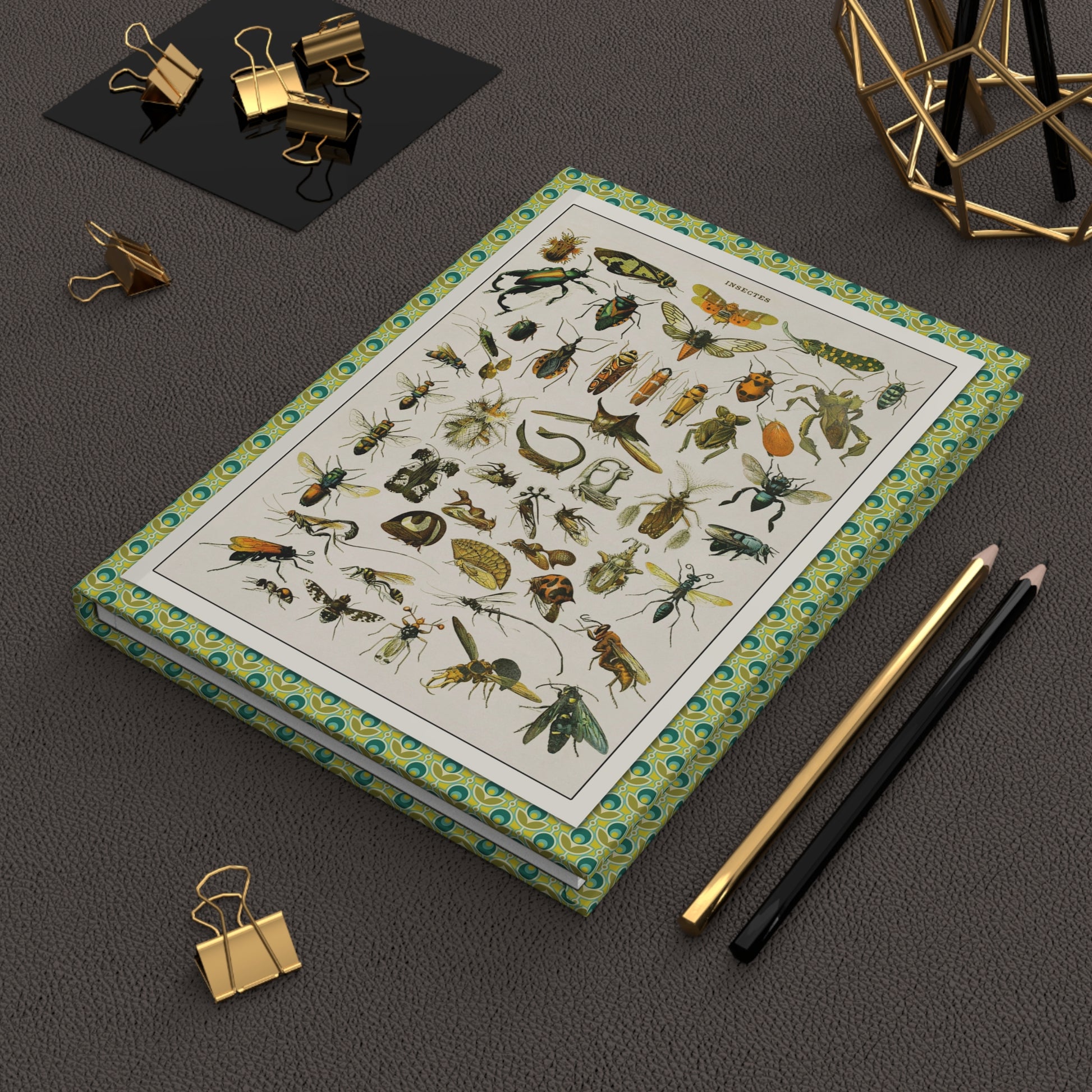 Adolphe Millot entomology journal on desk with gold clips for field observations - LeBonJournal