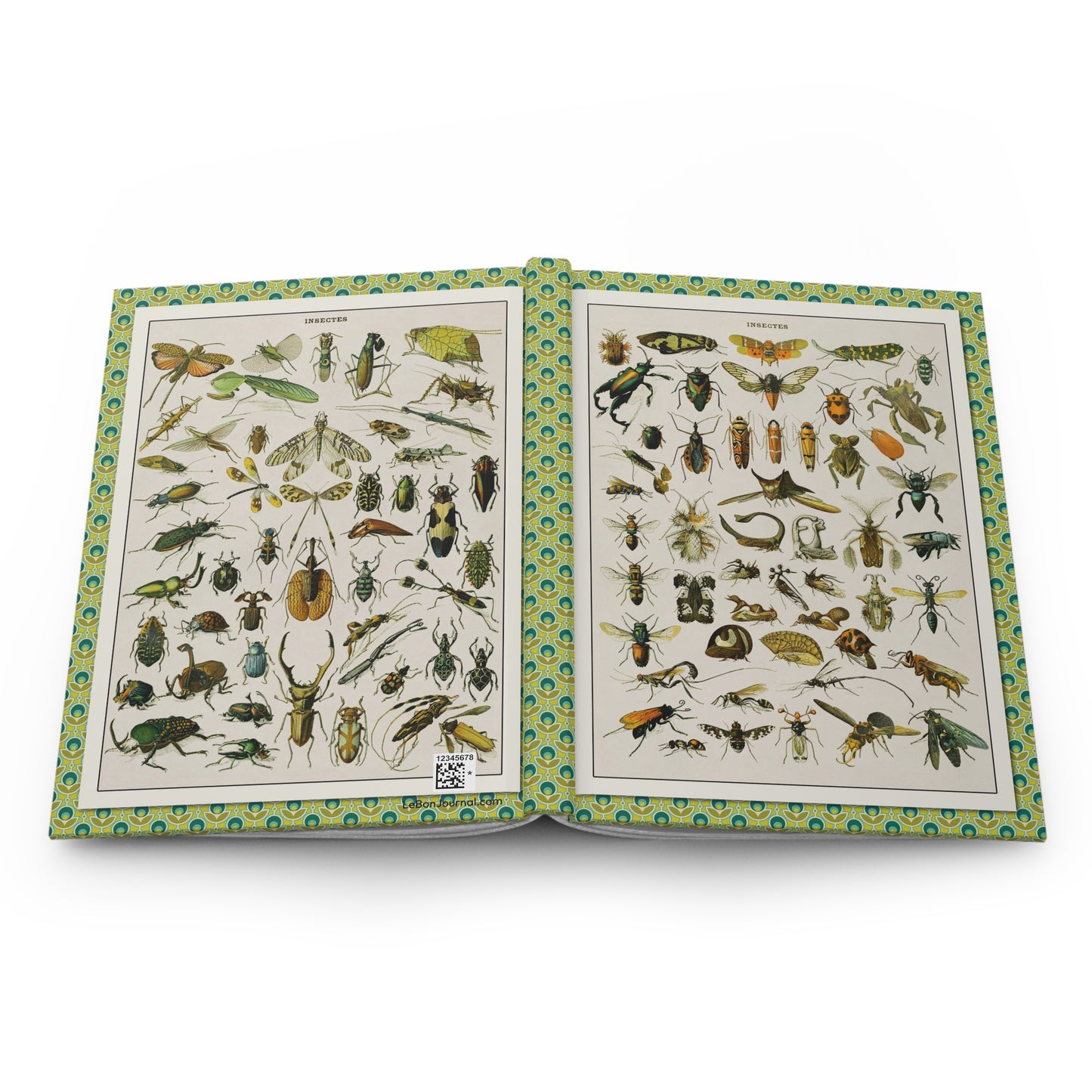 Adolphe Millot entomology journal open showing casewrap binding and insect charts - LeBonJournal