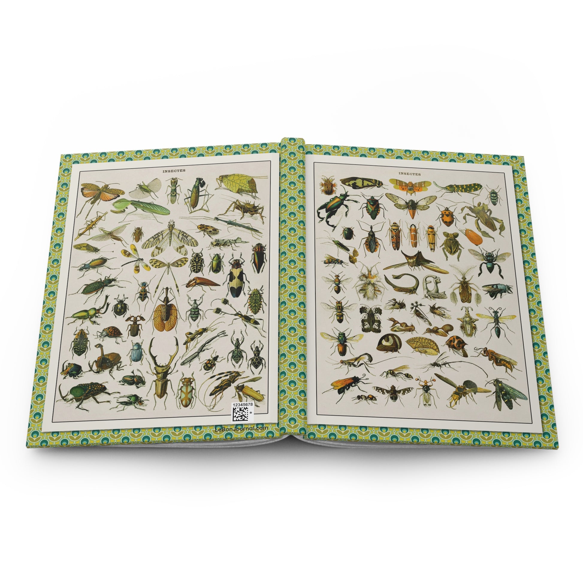 Adolphe Millot entomology journal open showing casewrap binding and insect charts - LeBonJournal