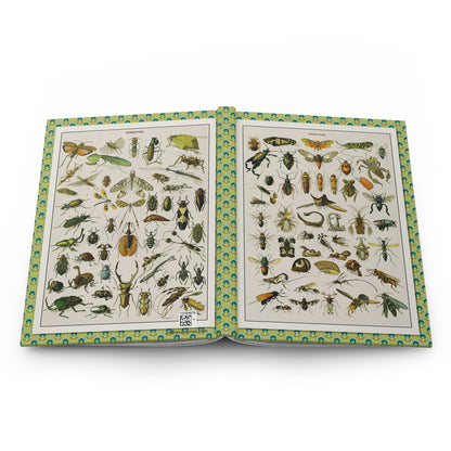 Adolphe Millot entomology journal open showing casewrap binding and insect charts - LeBonJournal