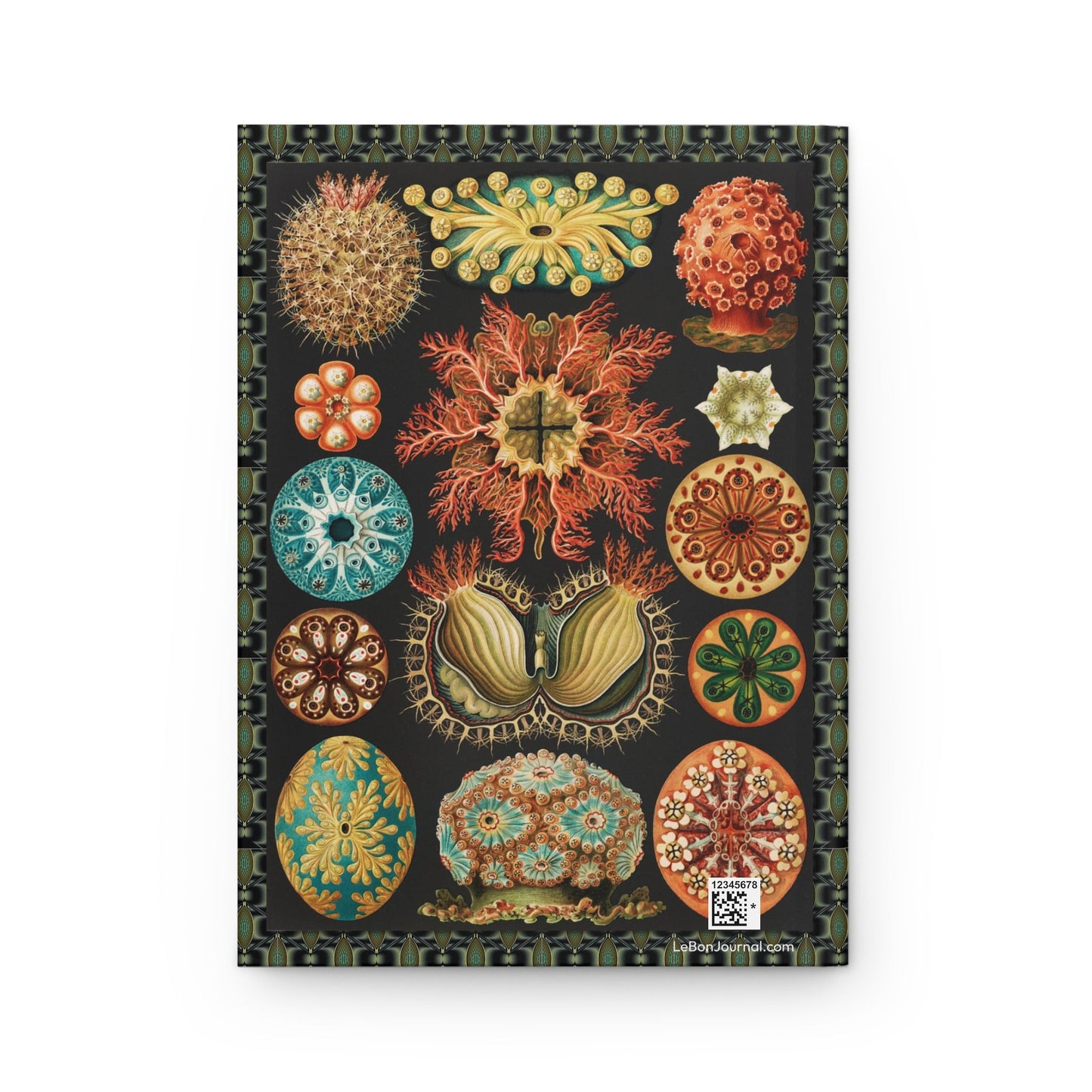 Back cover Ernst Haeckel Ascidiae sea squirts tunicates marine biology Art Nouveau organic forms Victorian natural history illustration - LeBonJournal