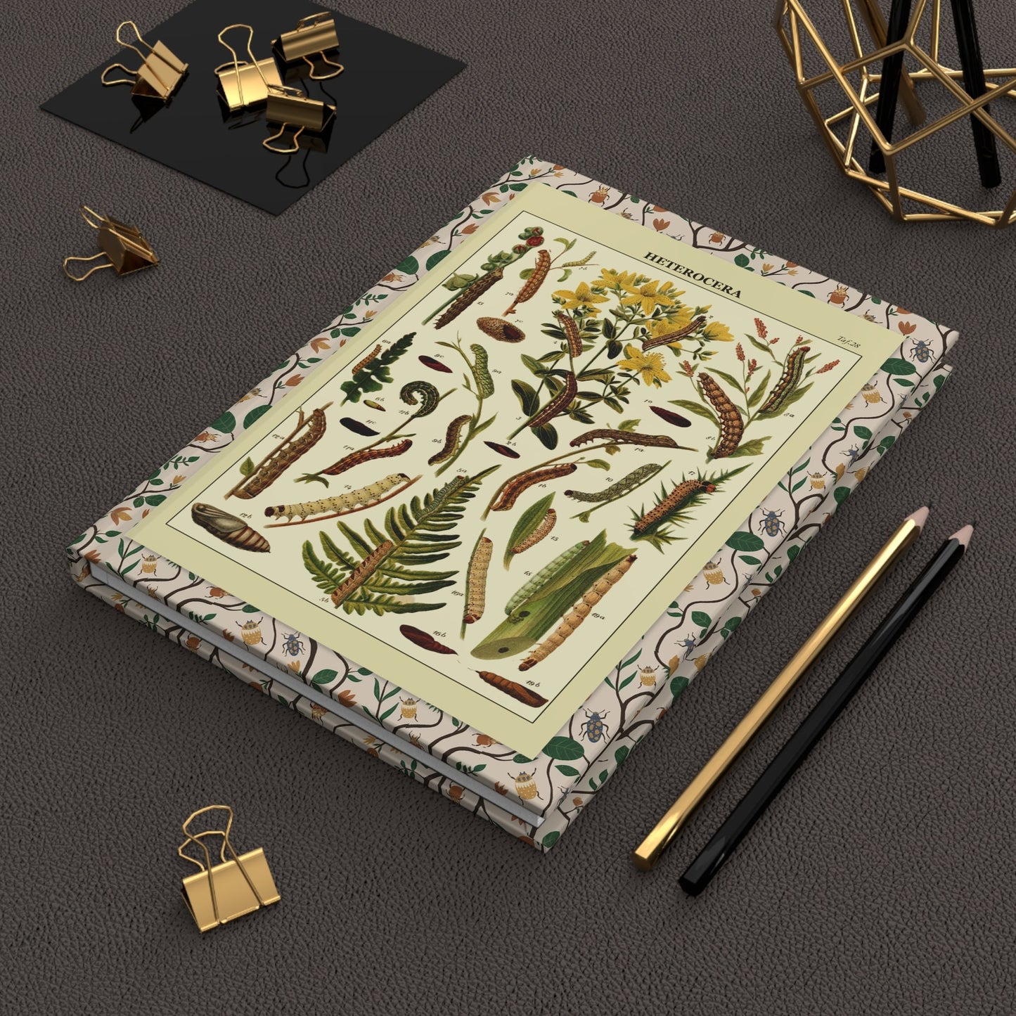 Ernst Hofmann 1893 caterpillars journal on desk with gold clips for entomology notes - LeBonJournal