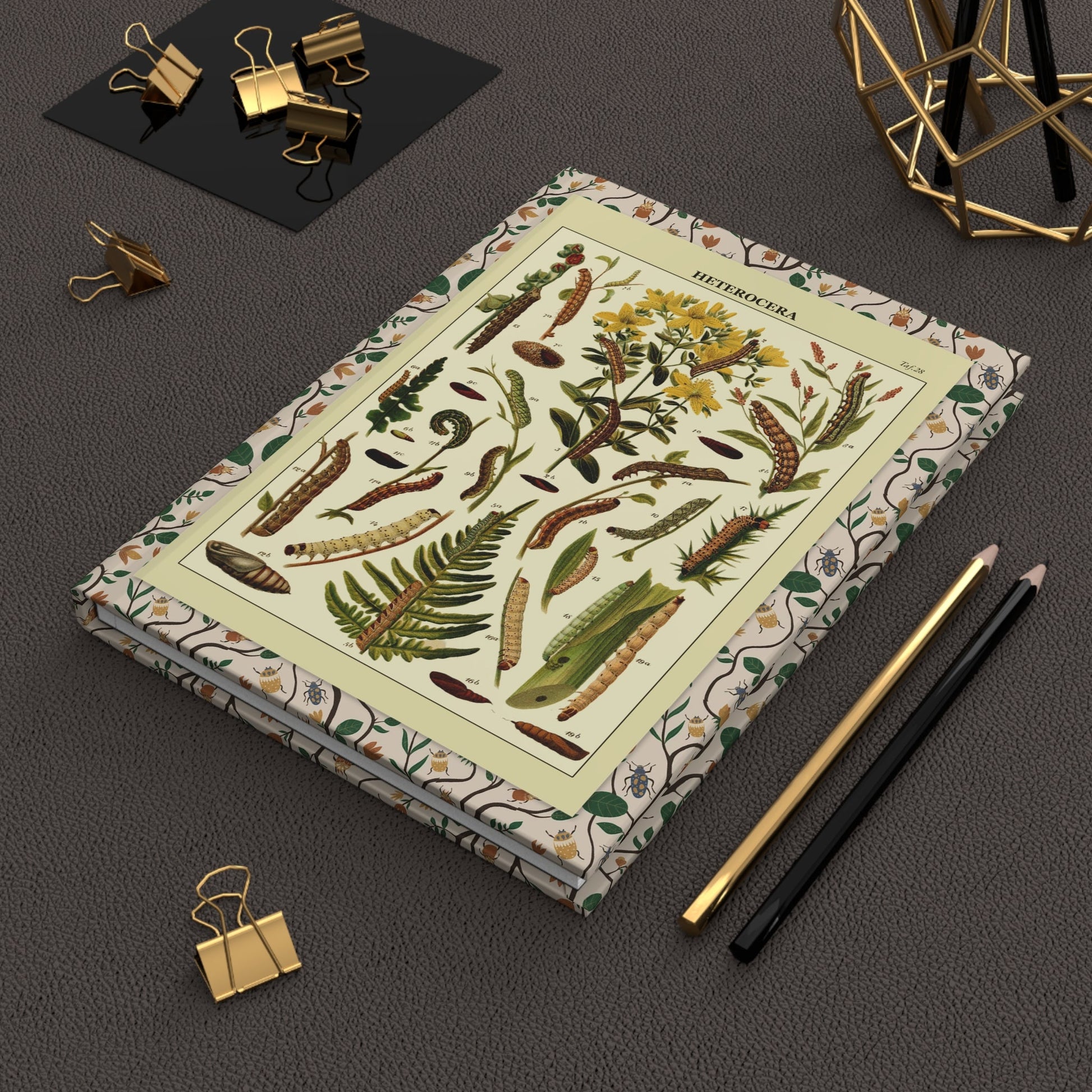 Ernst Hofmann 1893 caterpillars journal on desk with gold clips for entomology notes - LeBonJournal