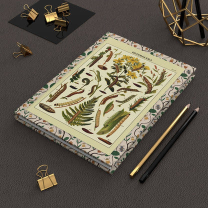 Ernst Hofmann 1893 caterpillars journal on desk with gold clips for entomology notes - LeBonJournal