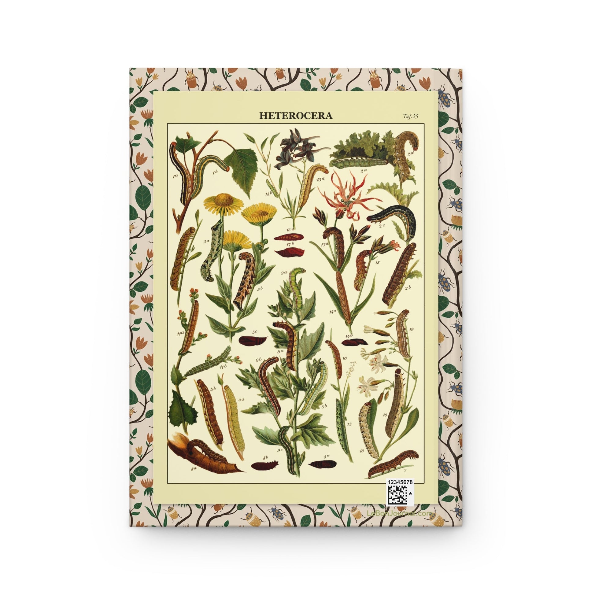 Ernst Hofmann journal back cover with 1893 Plate 25 showing Mamestra caterpillar species - LeBonJournal