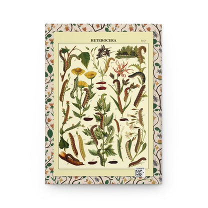 Ernst Hofmann journal back cover with 1893 Plate 25 showing Mamestra caterpillar species - LeBonJournal
