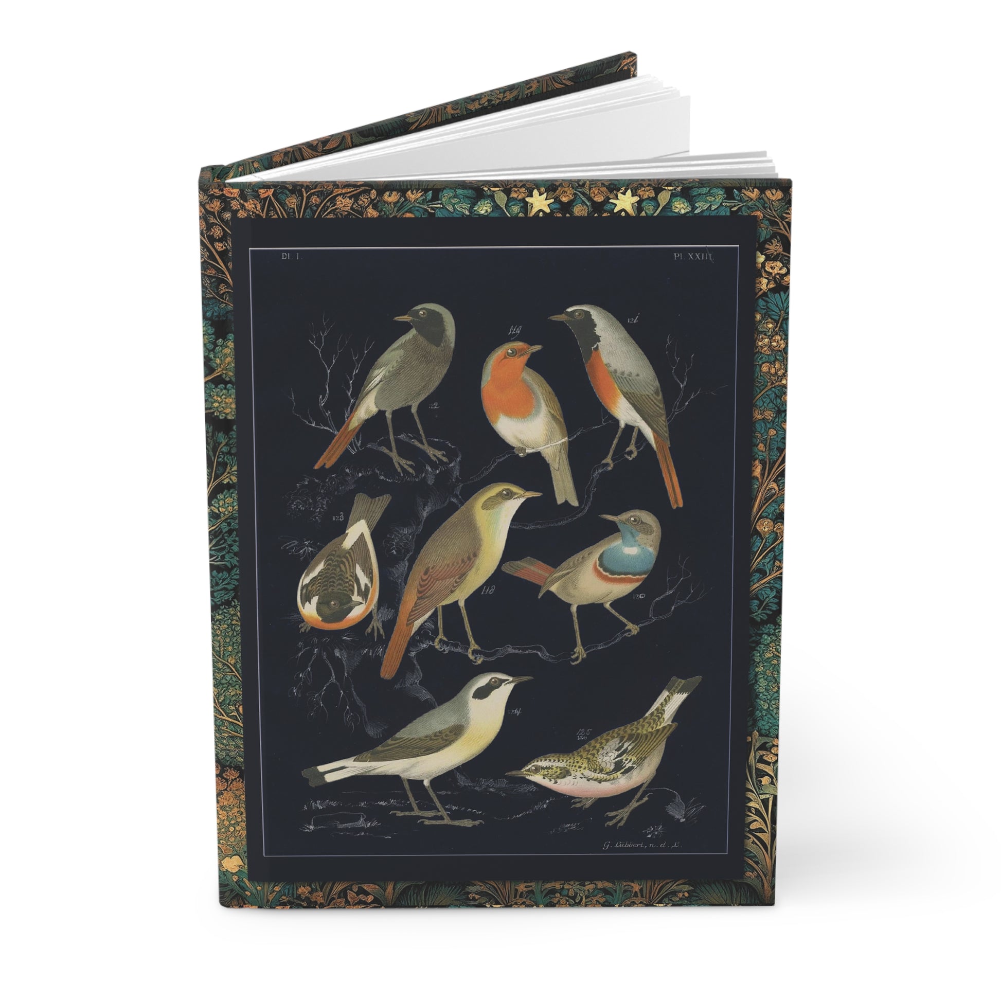 European songbirds hardcover journal featuring contemporary black background interpretation De Vogelwereld 1886 G. Lübbert robin bluethroat stonechat redstart lithograph ornithology - LeBonJournal