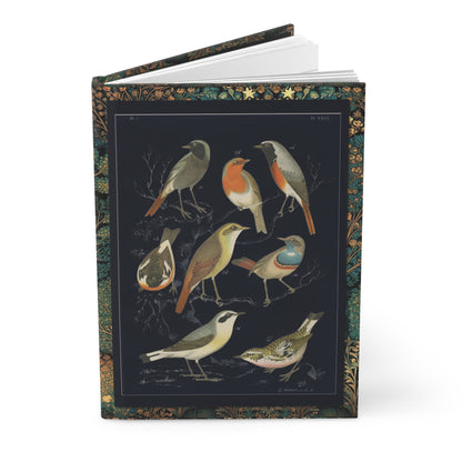 European songbirds hardcover journal featuring contemporary black background interpretation De Vogelwereld 1886 G. Lübbert robin bluethroat stonechat redstart lithograph ornithology - LeBonJournal