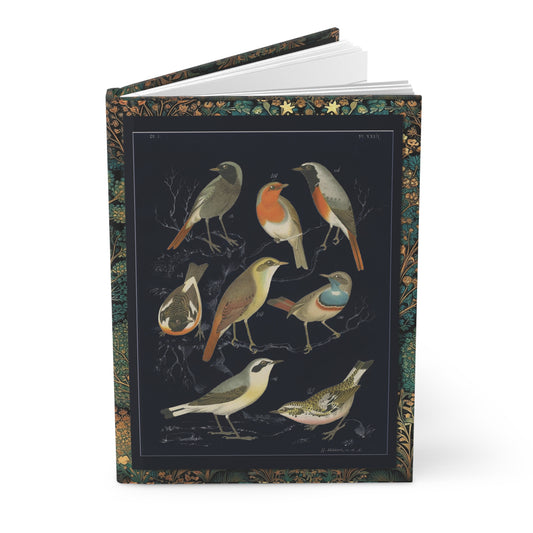 European songbirds hardcover journal featuring contemporary black background interpretation De Vogelwereld 1886 G. Lübbert robin bluethroat stonechat redstart lithograph ornithology - LeBonJournal