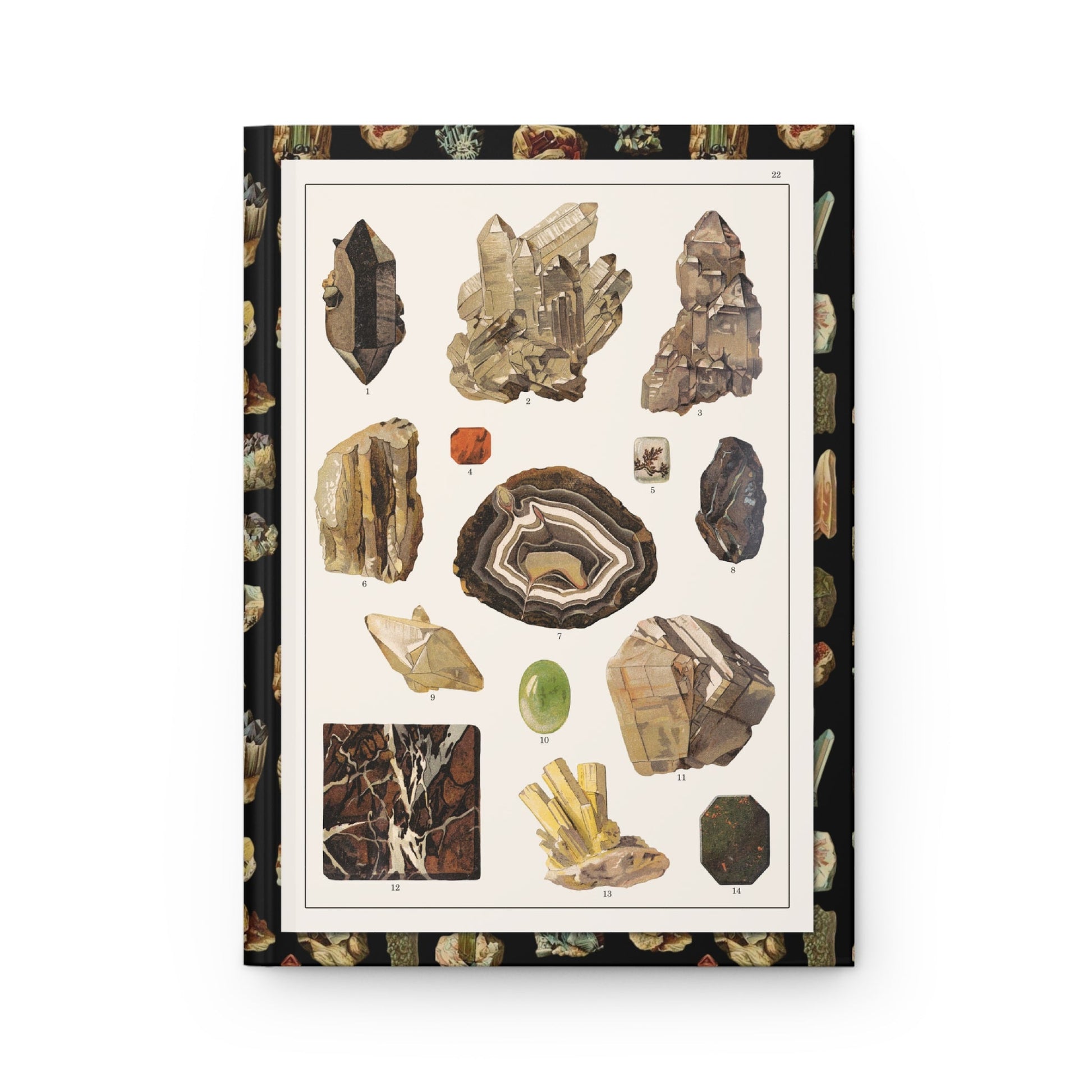 Feliks Wermiński journal front cover with 1893 Historya naturalna Plate 22 minerals - LeBonJournal