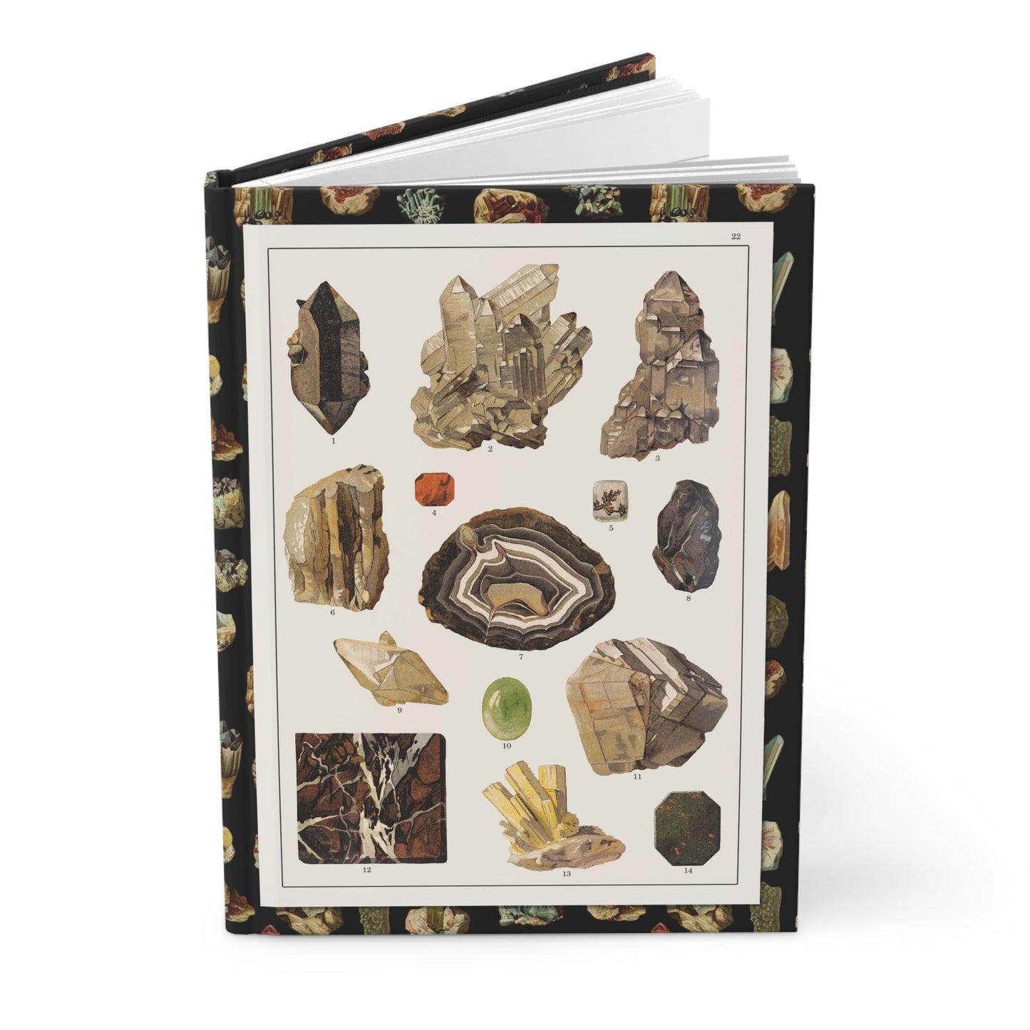 Feliks Wermiński 1893 mineral specimens journal with Polish natural history illustrations - LeBonJournal