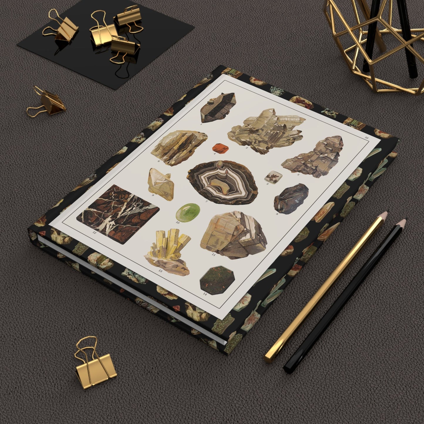 Feliks Wermiński 1893 mineral specimens journal on desk with gold clips for geology notes - LeBonJournal