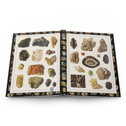 Feliks Wermiński mineral specimens journal open showing casewrap binding with 1893 illustrations - LeBonJournal