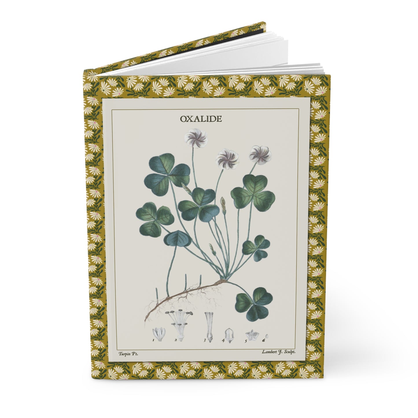 Flore médicale 1814 journal with Oxalide clover and Violette botanical illustrations - LeBonJournal