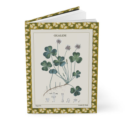Flore médicale 1814 journal with Oxalide clover and Violette botanical illustrations - LeBonJournal