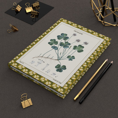 Flore médicale 1814 botanical journal on desk with gold clips for herbal notes - LeBonJournal