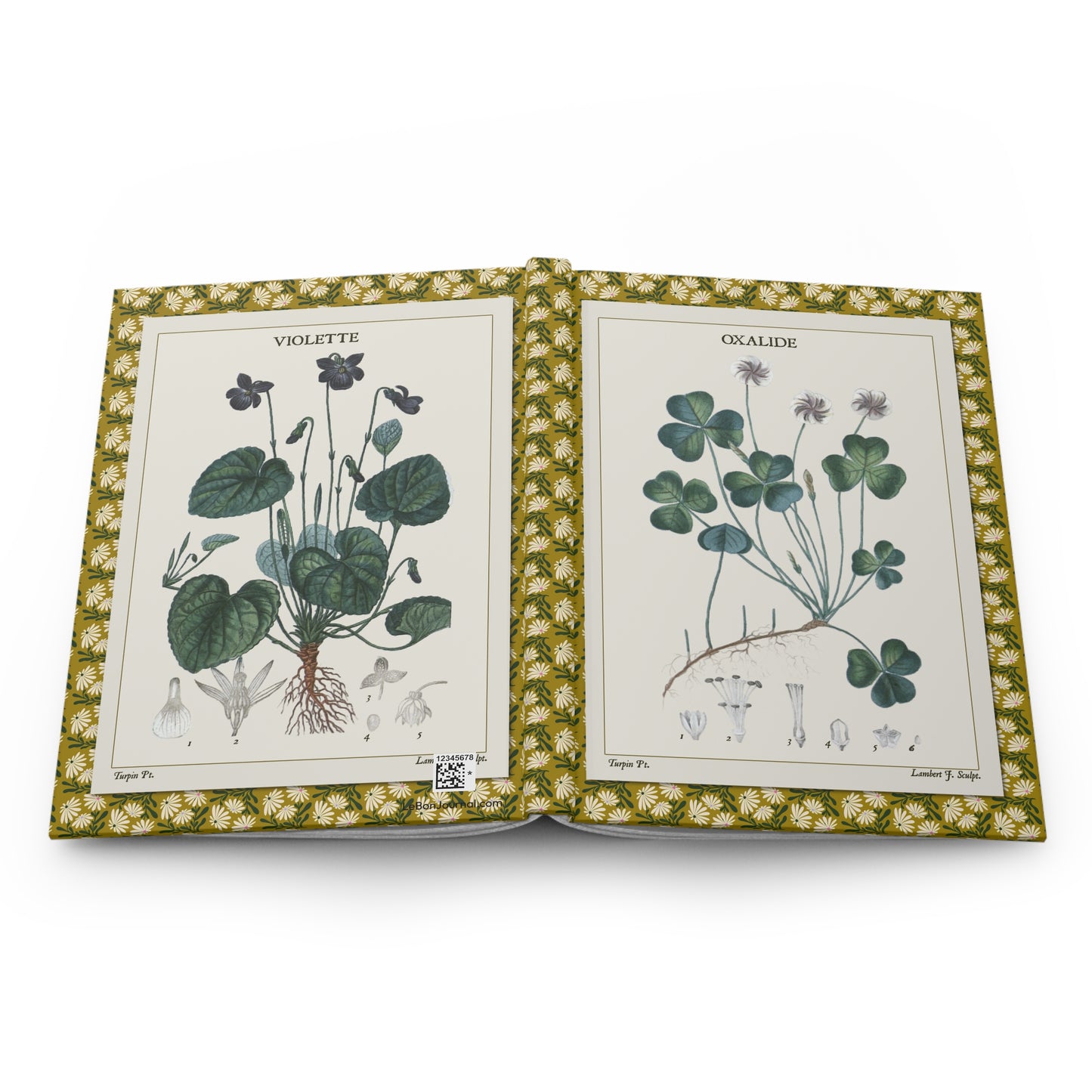 Flore médicale botanical journal open showing casewrap binding and 1814 plant illustrations - LeBonJournal